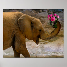 Elefante com Poster de Rosa