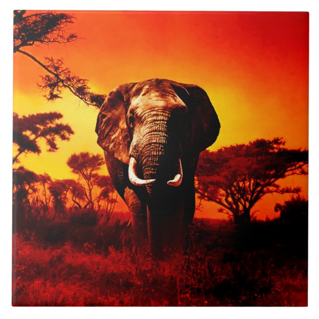 Elefante do por do sol (Frente)