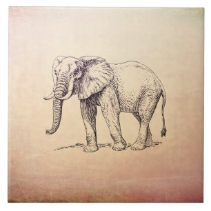 Elefante do vintage