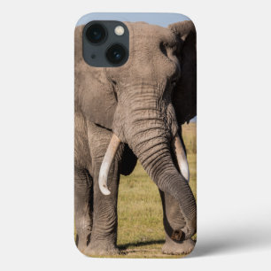 Elefante em uma Pose Agressiva