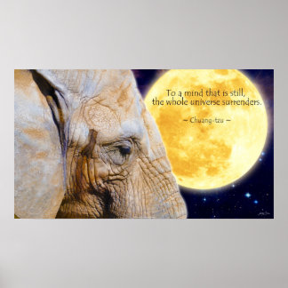 Elefante, Lua e Sabedoria Citação Poster Motivacio