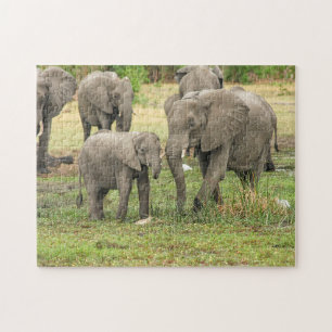 Elefante Mãe e Bebê Animal Quebra-cabeça