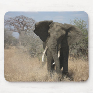 Elefante Mousepad
