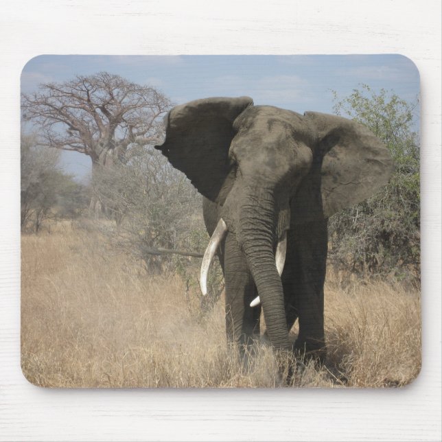 Elefante Mousepad (Frente)