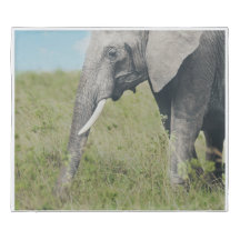 Elefante no Cobrir de Habitat Duvet
