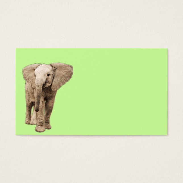 Elefante para Bebê (Frente)