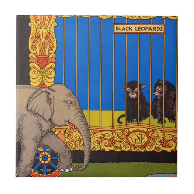 elefante passando pela gaiola dos leopardos pretos (Frente)