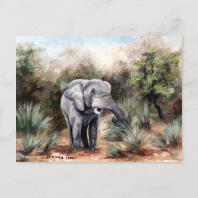 Elefante passando pelo cartão postal (Frente)