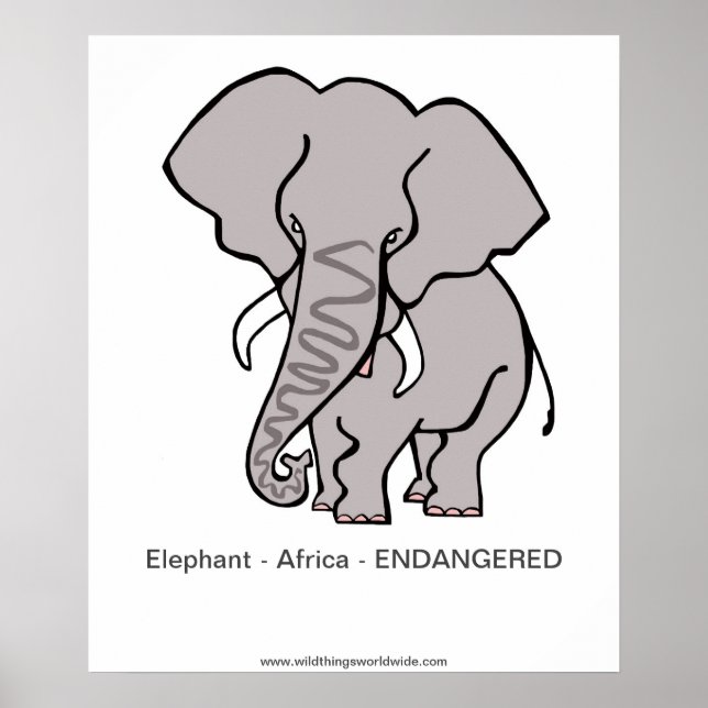 Elefante - poster (Frente)