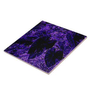 Elefante Roxo Orelha Coloca Taro