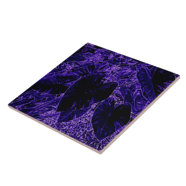 Elefante Roxo Orelha Coloca Taro (Lateral)