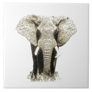Elefante Sepia