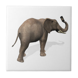 Elefante Tomando Uma Selfie