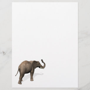 Elefante Tomando Uma Selfie