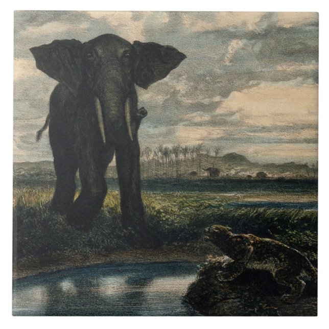 Elefantes e Pantera no Deserto Indiano (Frente)