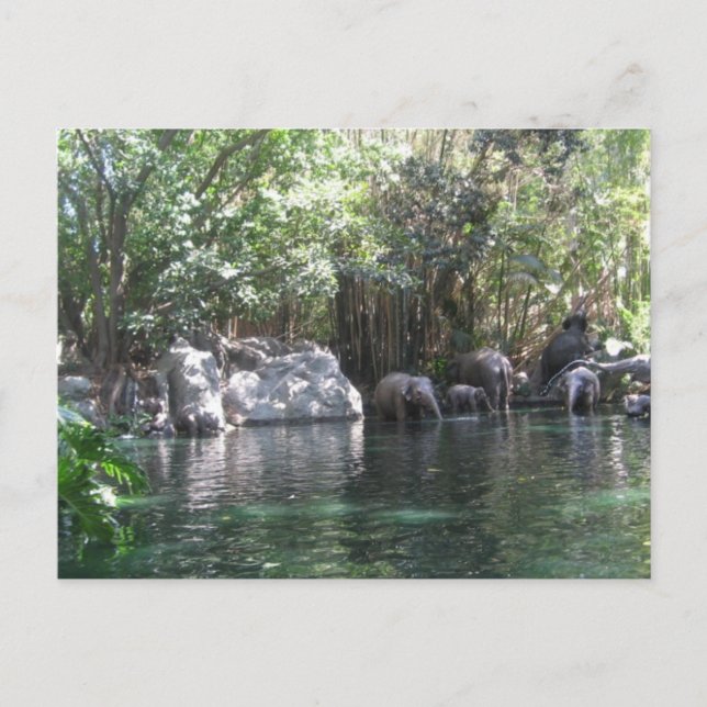 Elefantes no cartão postal (Frente)