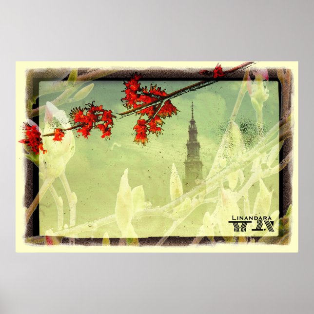 Elegance impressão (Frente)