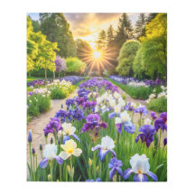 Elegância do POSTER Iris