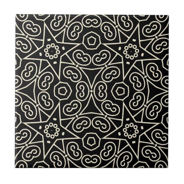 Elegant Black & White Abstract Geometric Pattern  (Frente)