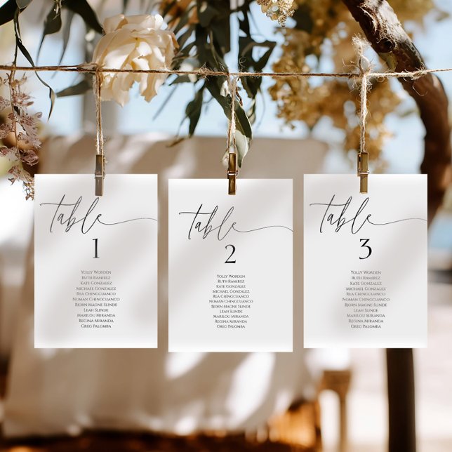 Elegant minimalist table number seating chart card (Criador carregado)