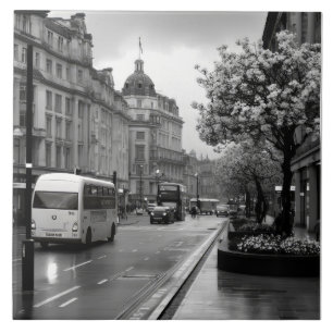 Elegant Street View