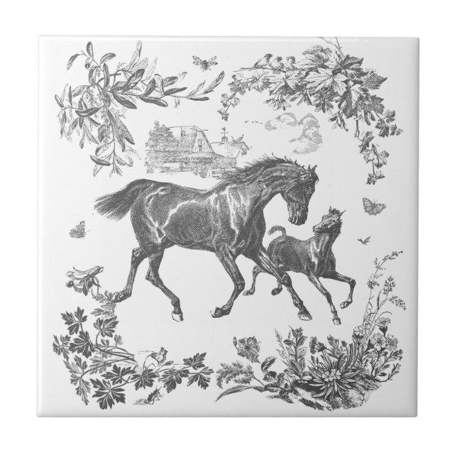 Elegant Vintage Black White Horses Floral (Frente)