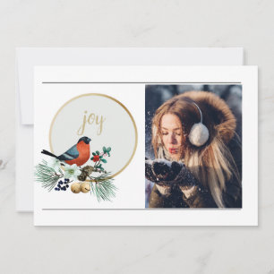 Elegante 1 Foto Winter Robin, JOY Christmas