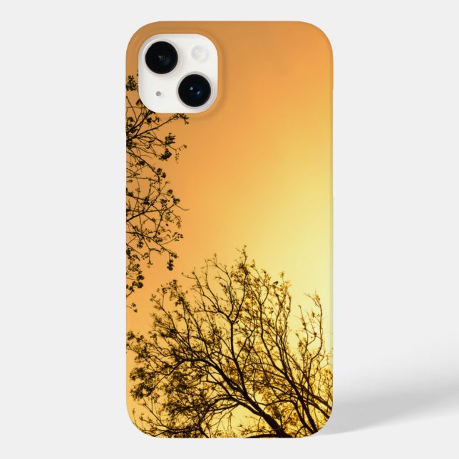 Elegante Beleza Natural (Verso)
