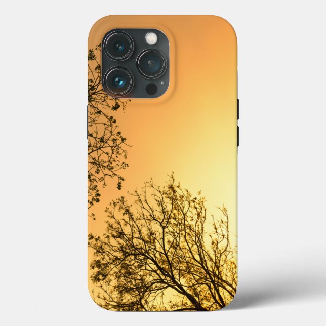 Elegante Beleza Natural (Verso)