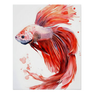 Elegante Betta Fish - Impressão de Aquarela Siamês