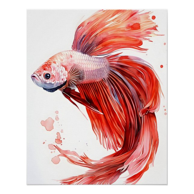Elegante Betta Fish - Impressão de Aquarela Siamês (Frente)