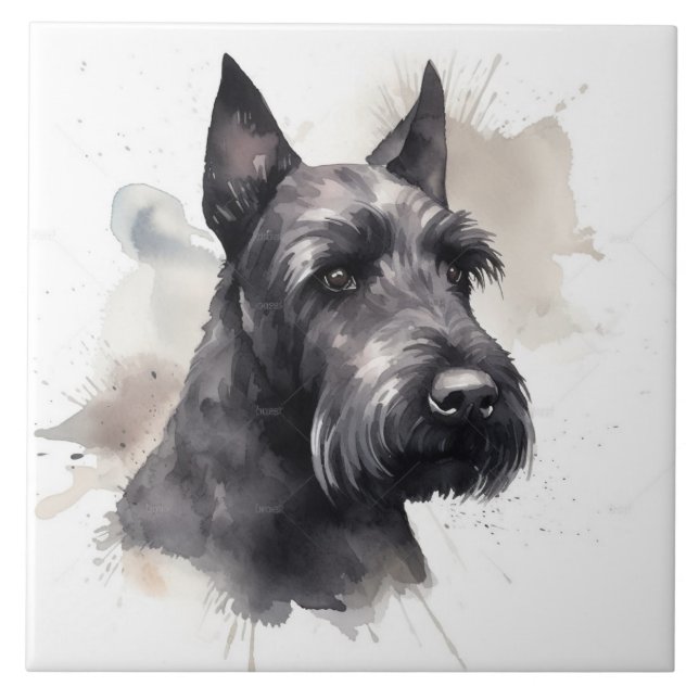 Elegante Black Scottish Terrier Dog Pet (Frente)
