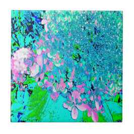 Elegante Cor-de-rosa e azul