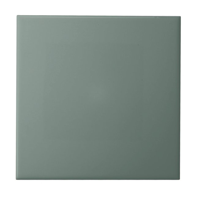 Elegante Cor Sólida Verde Escuro (Frente)