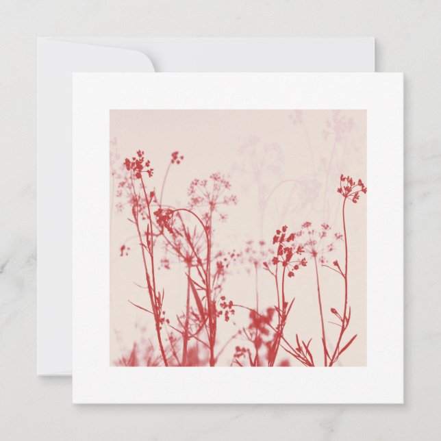 Elegante Coral Red Floral Melhores Desejos para Ca (Frente)