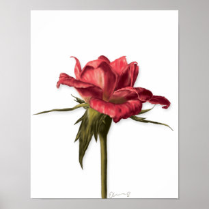 Elegante Floral Rosa Poster