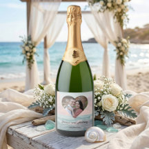 Elegante Foto Única de Casamento na Praia Costeira