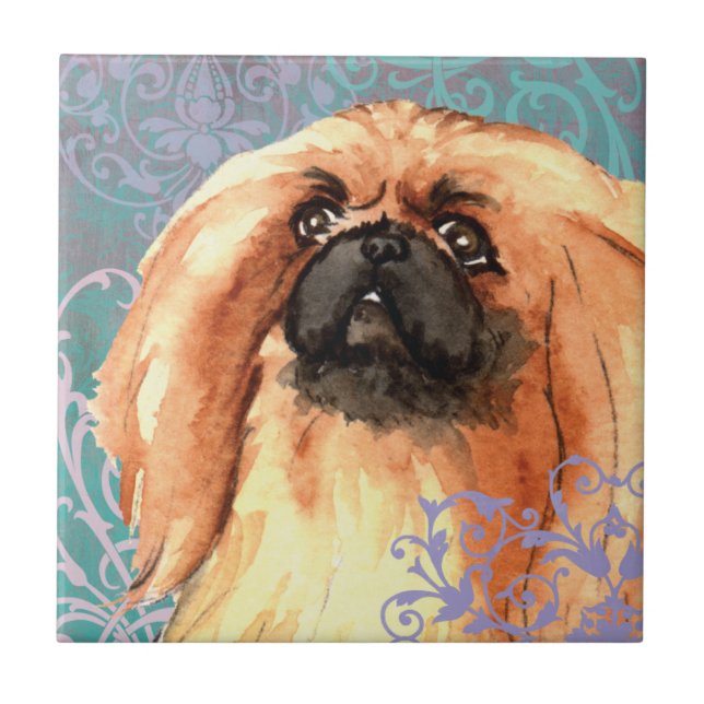 Elegante Pekingese (Frente)