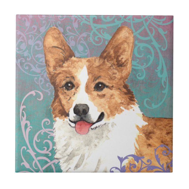 Elegante Pembroke Welsh Corgi (Frente)