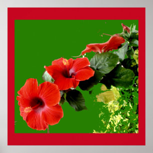 Elegante Red Hibiscus em Cheio Bloom Poster