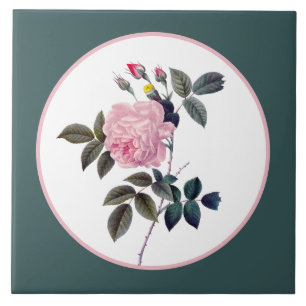 Elegante rosa floral cor-de-rosa vintage