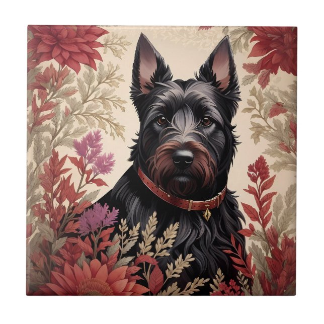 Elegante Scottish Terrier Dog Portrait (Frente)