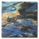 Elegante Trendy Chic Labradorite Crystal Stone<br><div class="desc">Azulejo de cristal labradorita. Alegria na beleza refinada deste padrão de cristal labradorite preto, azul e amarelo, exibindo um aperto mesmerante de uma pedra labradorita. A cativante interação de cores, dos negros profundos e azuis aos amarelos brilhantes, cria um espetáculo visual impressionante que é destinado a cativar os entusiastas do...</div>