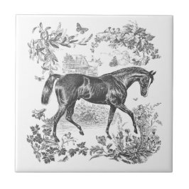 Elegante Tropa Rústica de Cavalo Negro