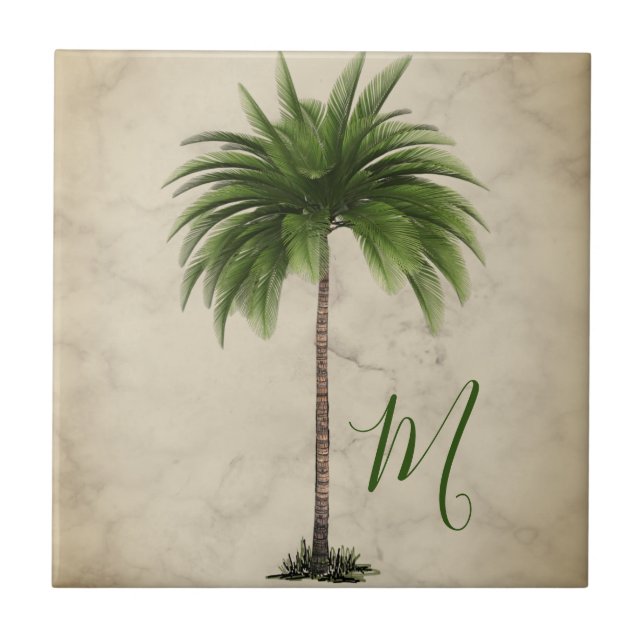 Elegante Tropical Palm Tree (Frente)