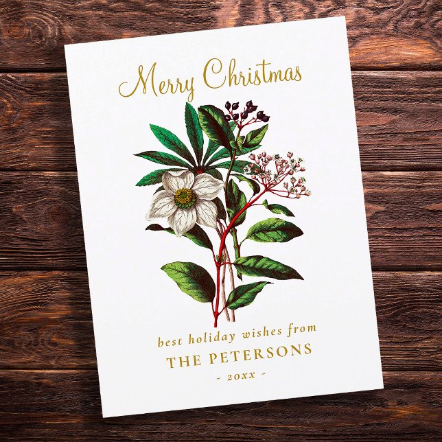 Elegante Vintage Rosa de Natal Botânico (Criador carregado)