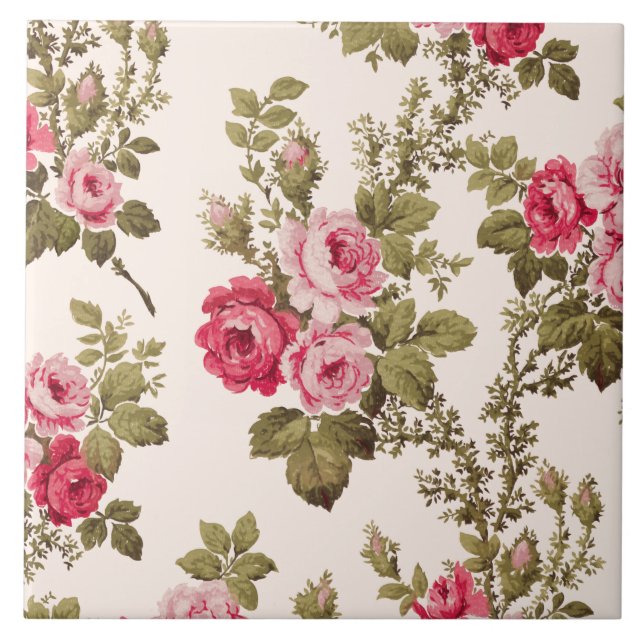 Elegante Vintage Rosa Roses-Buff Fundo (Frente)