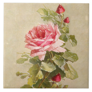 Elegante Vintage - Rosas Rosa