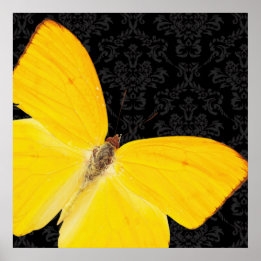 Elegante Yellow Butterfly Black Damask Poster