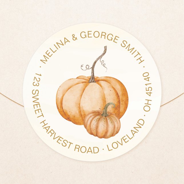 Elegantes Abóboras Laranja Aquarela Etiqueta de En (Elegant, orange, watercolor pumpkin group return address round sticker. Pumpkin address label.)